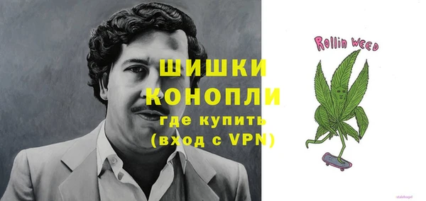 бошки Богданович