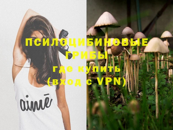 героин Бородино