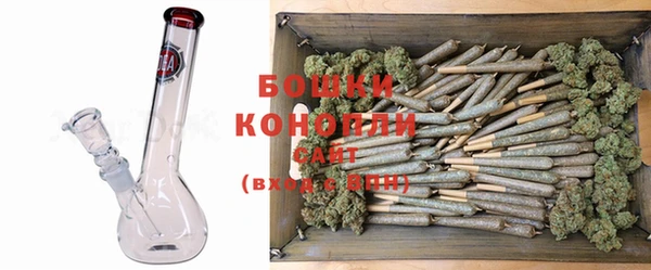 бошки Богданович